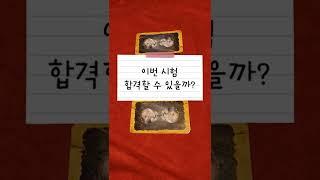 [타로] 이번 시험 합격할 수 있을까? #시험운 #공부