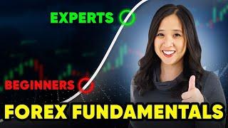 Forex Fundamentals Analysis for Complete Beginners to Level Up