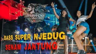 DJ BREWOG AUDIO Paling Baru | Trap BASS SUPER PANJANG NJEDUG BIKIN SENAM JANTUNG