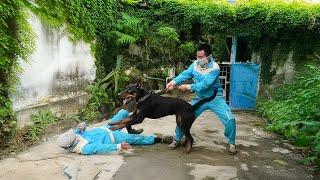 Cleaning an Abandoned House: Deadly Danger - A Violent Dog Suddenly Attacks Us | Clean Up Free
