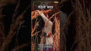 First Love   A Real Story | Nepali Novel Audio | Nepali Love Story | Reuploaded