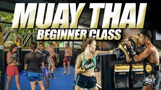 Kickstart Your Muay Thai Journey: Beginner Class at Punch It Gym Koh Samui!