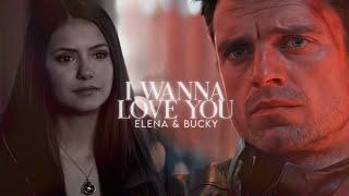 Bucky & Elena - I Wanna Love You