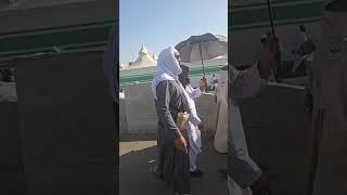 حجاج کرام روانہ مناء سے جمرات #hajj #umrah #islam #makkah #madinah #muslim