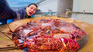 New Zealand LOBSTER BOIL!! Crayfish + Foot-Long Fish and Chips in Kaikōura!!