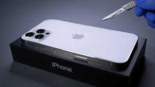 iPhone 12 Pro Max Unboxing and Camera Test - ASMR