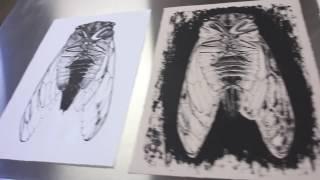 Printmaking at SVAD