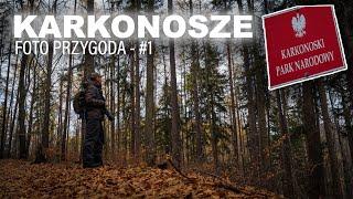 KARKONOSZE - FOTO PRZYGODA           Część 1