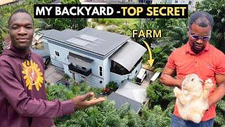 How This Nigerian Turned His Luxury Home Backyard Into A Thriving Farm | Tiny Space, Big Harvest