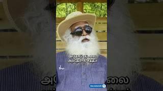 உடலில் உள்ள நச்சுகளை நீக்க அற்புத வழி! | Yogi’s Breakfast for Detoxifying Your System