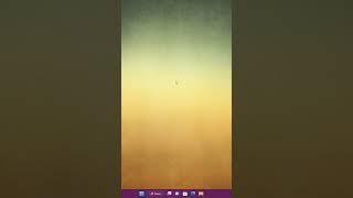 Как создать папку в Windows 11
