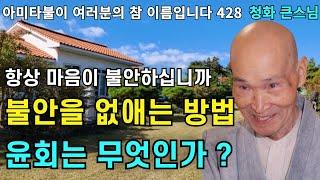 마음의 불안을 없애고 행복으로 가는 방법 윤회는 무엇인가 | 청화스님 법문