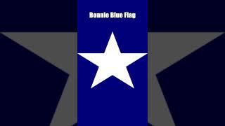 Bonnie Blue Flag Suno Korean 보니 플래그 수노 #shorts