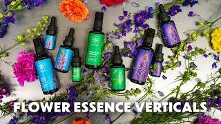 How To Work with Flower Essence *Verticals* | LOTUSWEI