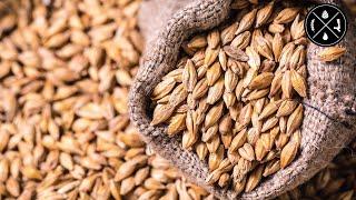 Forgetting malt, crushing grains, filtering wort, & dispensing from a keg on its side   - Ep 246