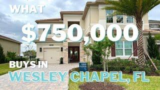 Wesley Chapel Homes for Sale | What you can buy for $750,000 | New Construction Model Home Tour