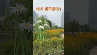 인천 송도센트럴파크걷기#데이트장소 #야경맛집 #인천가볼만한곳