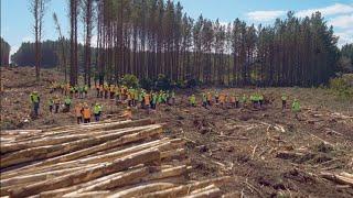 Forest Growers Research Conference 2023 - Meeting the Challenge