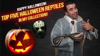 Top Five Halloween Reptiles in my Collection! #Reptiles #BallPythons #Snakes