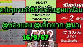 ดว่นๆมาแล้ว!!สายด่วนหมาน้อย@นา@ซองแดง@เด็กตาก@โอ๋โกดังดูเลย16/9/67|ยายไพรสี