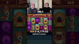 INSANE DOG HOUSE WIN!!!