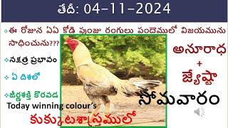 4 Nov 2024 Today winning colours/Today winning colours/vision of kukkuta sastram in colours update