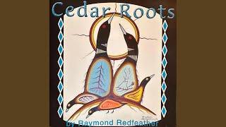 Cedar Roots