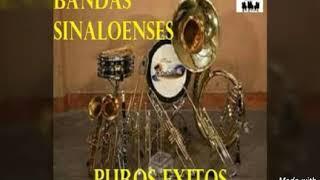 BANDA SINALOENSE  DE VIENTO PUROS EXITOS