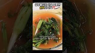 열무물김치 쓴맛 없이 담그세요 ‼️