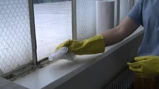 Healthy Neighborhood Program-How to Clean Your Windowsills