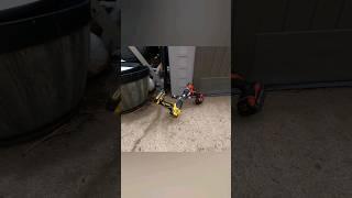 Milwaukee VS Dewalt #tunengoon #showdown #wrestling #fuel #20v #m18 #fight #automotive #tools #lol