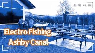 Electro Fishing The Ashby Canal / Zander Management