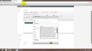 CMS #2 ckeditor, cmsview fixa e usando tabela no ckeditor. wysiwyg web builder 9