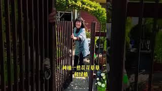#海外生活 #异国他乡 #远嫁 #日本生活
