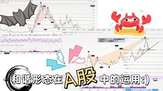 和谐形态在金财互联、平安银行中的2个案例