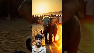 Everyone Thought the Baby Elephant Was Dead… Until Jesus Touched It  #jesus #faith