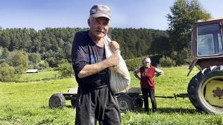 Difficult life of a family in a remote mountain village far from civilization