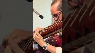 Ustad Bahauddin Dagar (Rudra Veena) Raga Dhanashree (Jod-Jhalla) Dhrupad Gurukul Baithak, June 15