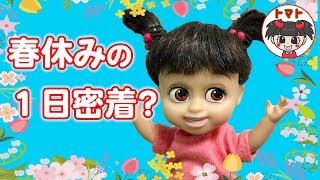 【ブー、春休みの過ごし方】　ブーちゃんの春休みルーティーンはどんな感じ？　春休みの過ごし方の理想と現実　ブーちゃん＆トマトおねえさん