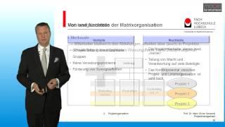 Formen der Projektorganisation im Projektmanagement