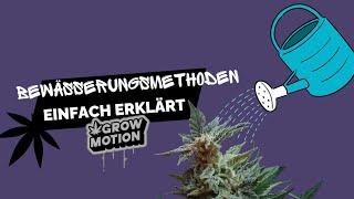 Cannabis Bewässerungsmethoden | Anbau Tipps | Homegrow