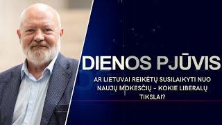 Ar Lietuvai reikėtų susilaikyti nuo naujų mokesčių – kokie liberalų tikslai? | DIENOS PJŪVIS