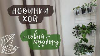 Новинки хой | Новый мудборд