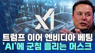 '기업가치 70조' 머스크의 xAI, 엔비디아 칩 10만 개 매입 예정