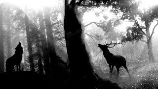 Deep Melodic Techno mix 2020  - Black Deer - Miss Monique, Paul Angelo & Don Argento,…