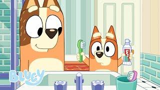 Robot Bingo | Les Petites Histoires de Bluey | Bluey Français Chaîne Officielle