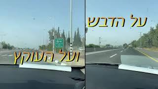 סרט סופי יד מרדכי