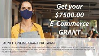 Alley Kat Signs and Marketing assists with $7500 BC Grant for E commerce