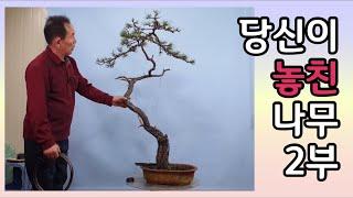 분재관리 247강 분재경매 - 당신이 놓친 나무 2부