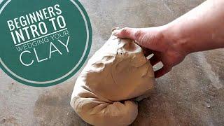 Beginners Intro to Wedging your Clay.